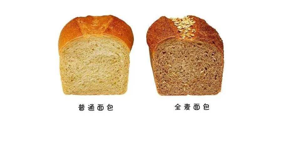 面包对比